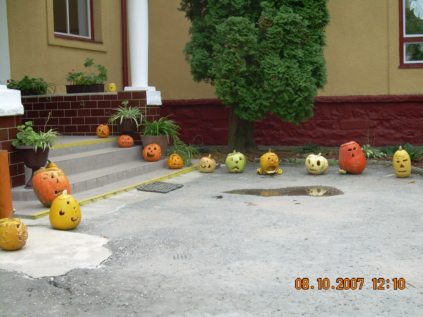 Strážcovia školy.JPG